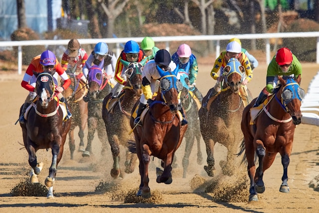 【競馬 初心者向けガイド】競馬の基本・始め方と楽しみ方を解説！