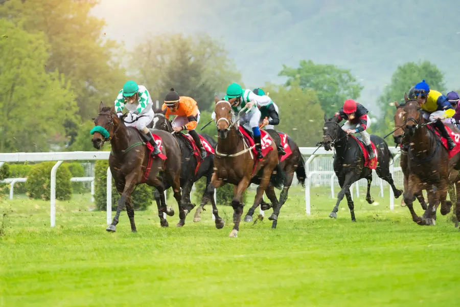 初心者にもわかる！競馬のワイドとは？特徴と必勝法を紹介！