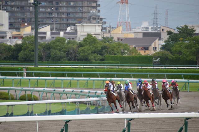 【競馬】馬連とは？買い方や特徴を紹介！馬単との違いも解説！