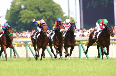 競馬の枠連とは？馬連との違いも！効果的な購入方法も解説！